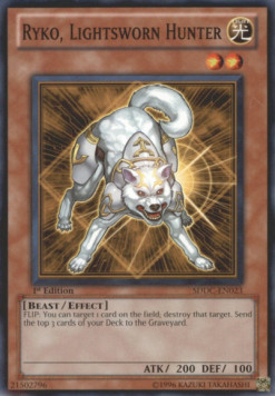 Ryko, Lightsworn Hunter 