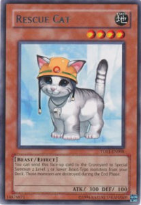 Rescue Cat 