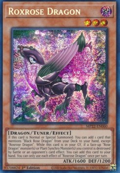 Roxrose Dragon 