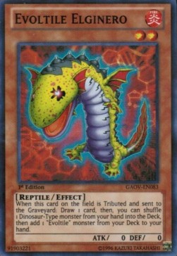 Evoltile Elginero 