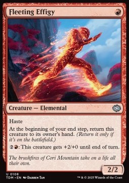 Fleeting Effigy 