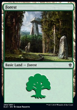 Forest (V.4) 