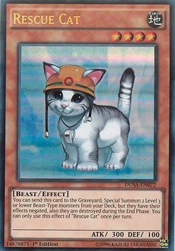 Rescue Cat 