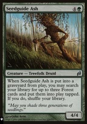 Seedguide Ash 