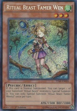 Ritual Beast Tamer Wen 