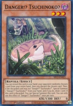Danger!? Tsuchinoko? 