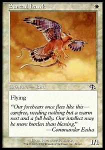 Suntail Hawk 