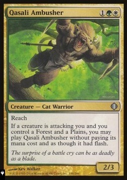 Qasali Ambusher 