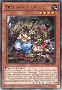 Traptrix Dionaea 
