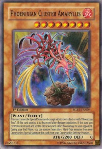 Phoenixian Cluster Amaryllis 