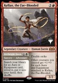 Kellan the Fae Blooded Birthright Boon (V.2) 
