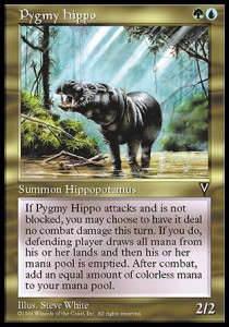 Pygmy Hippo - Visions 