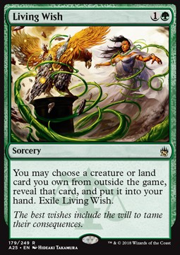 Living Wish - Masters 25 