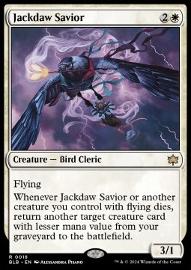 Jackdaw Savior 