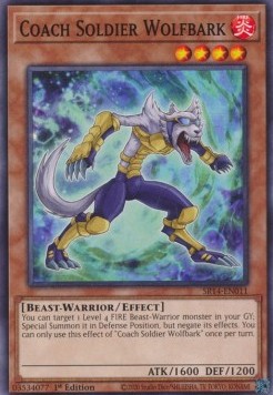 Coach Soldier Wolfbark 