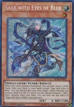 Sage with Eyes of Blue 