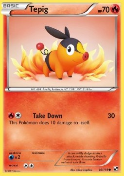 Tepig 