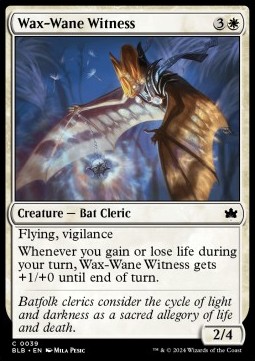 Wax Wane Witness 