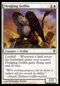 Fledgling Griffin 
