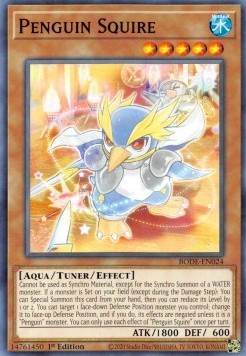 Penguin Squire 