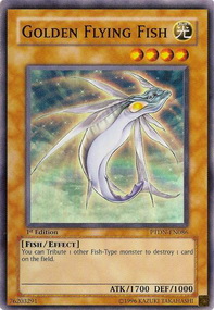 Golden Flying Fish 