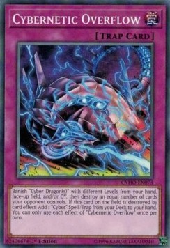 Cybernetic Overflow 