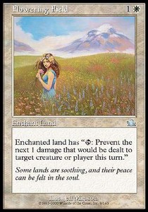 Flowering Field 