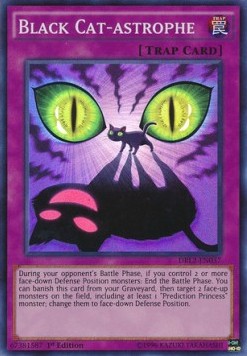 Black Cat-astrophe 