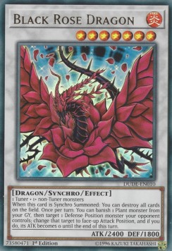 Black Rose Dragon 