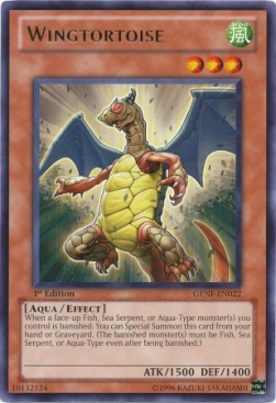 Wingtortoise 