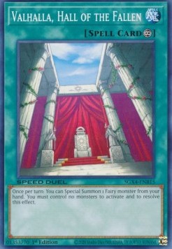 Valhalla Hall of the Fallen