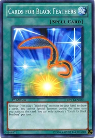 Cards for Black Feathers 