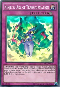 Ninjitsu Art of Transformation 