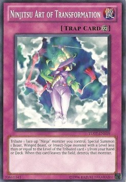 Ninjitsu Art of Transformation 
