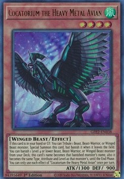 Cocatorium the Heavy Metal Avian 