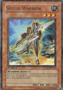Shield Warrior 