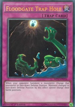Floodgate Trap Hole 