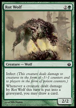 Rot Wolf 