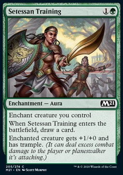 Setessan Training 