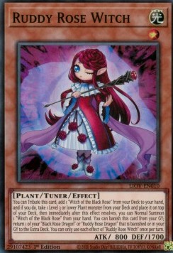 Ruddy Rose Witch 