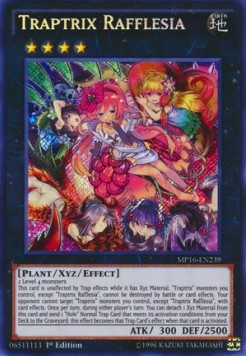 Traptrix Rafflesia 