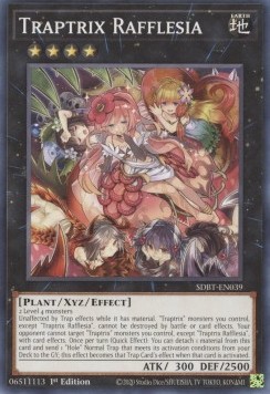 Traptrix Rafflesia 