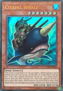 Citadel Whale 