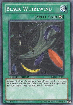Black Whirlwind 