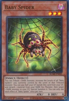 Baby Spider 