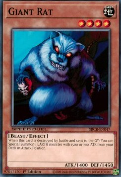 Giant Rat 