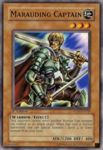 Marauding Captain 