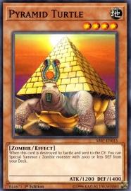Pyramid Turtle 