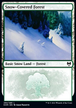 Snow-Covered Forest (V.1) 