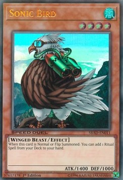 Sonic Bird 